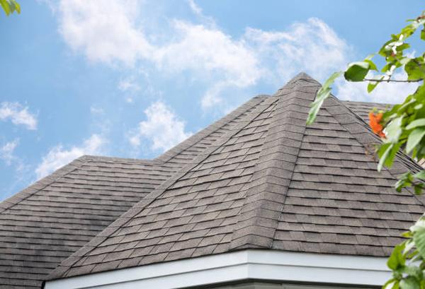 Guide Finding the Best Roof Replacement Services Nearby